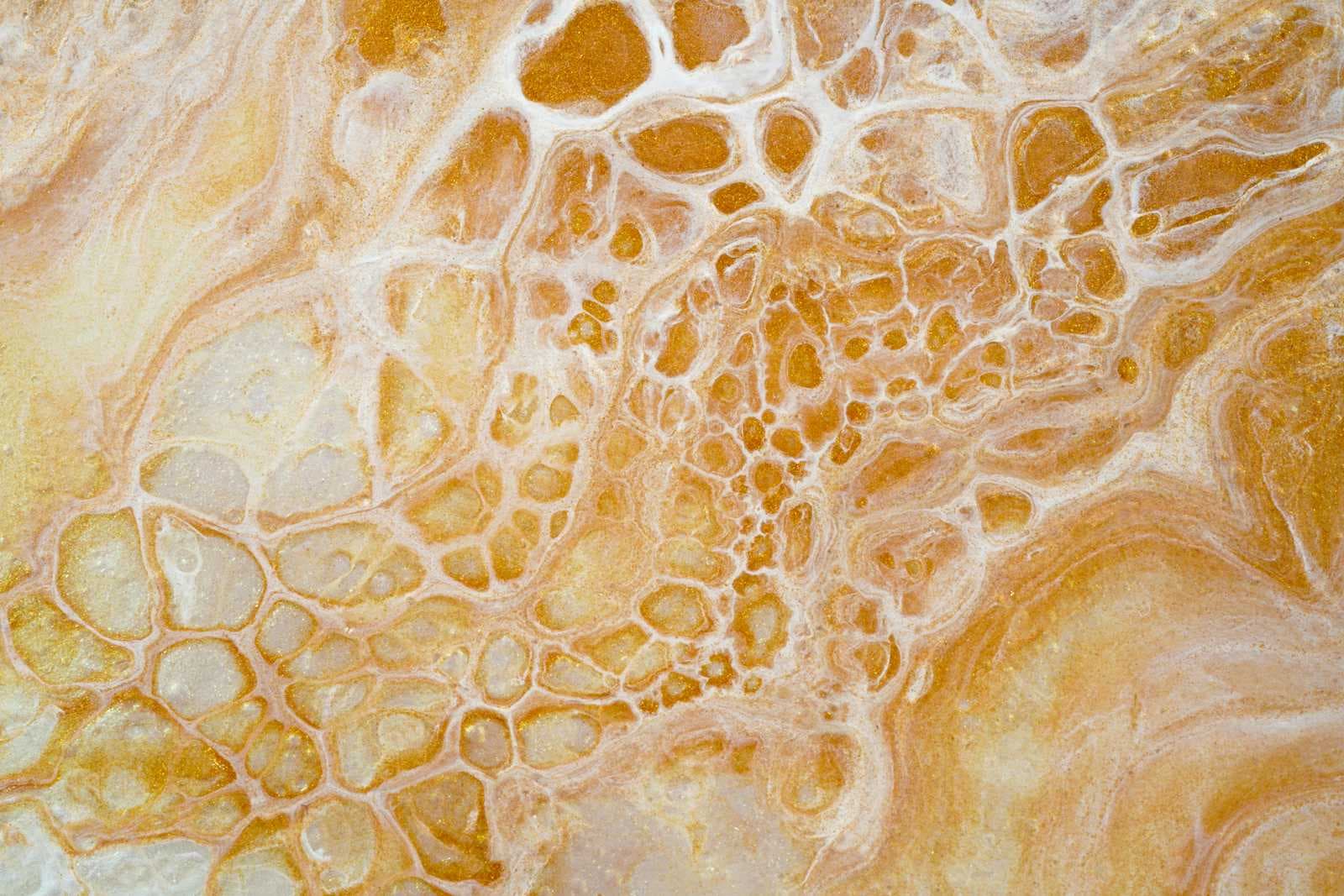 Estrobolom i osteoporoza u postmenopauzi – zašto je Balkan visoko rizična regija